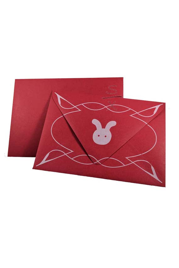 Postman Bunny Letter 5pk